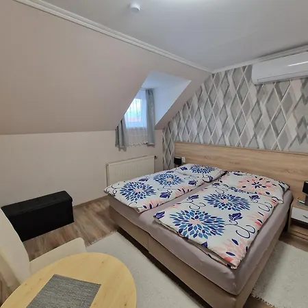 Hajnalka Vendeghaz *