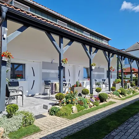 Hajnalka Vendeghaz
