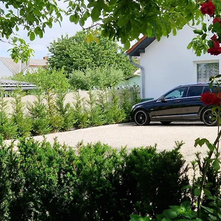 Hajnalka Vendeghaz Bük