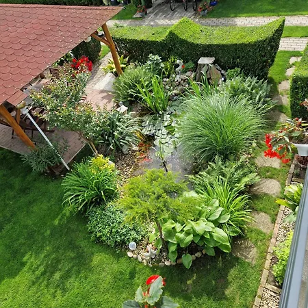 Hajnalka Vendeghaz 3*