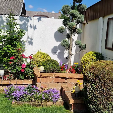 Hajnalka Vendeghaz 게스트하우스 Bük