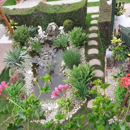 Hajnalka Vendeghaz Bük